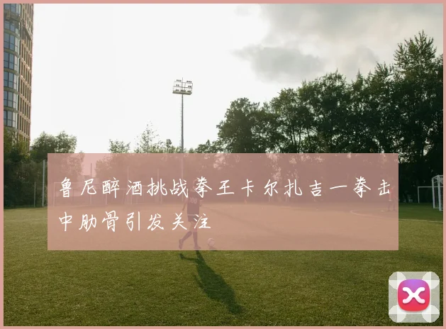 鲁尼醉酒挑战拳王卡尔扎吉一拳击中肋骨引发关注