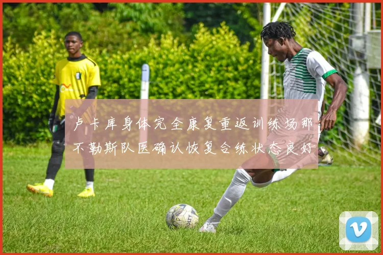 卢卡库身体完全康复重返训练场那不勒斯队医确认恢复合练状态良好