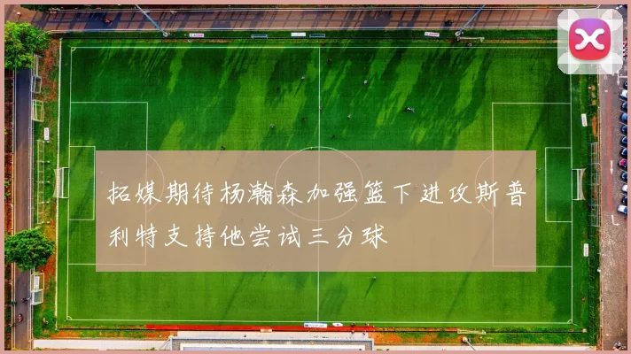 拓媒期待杨瀚森加强篮下进攻斯普利特支持他尝试三分球