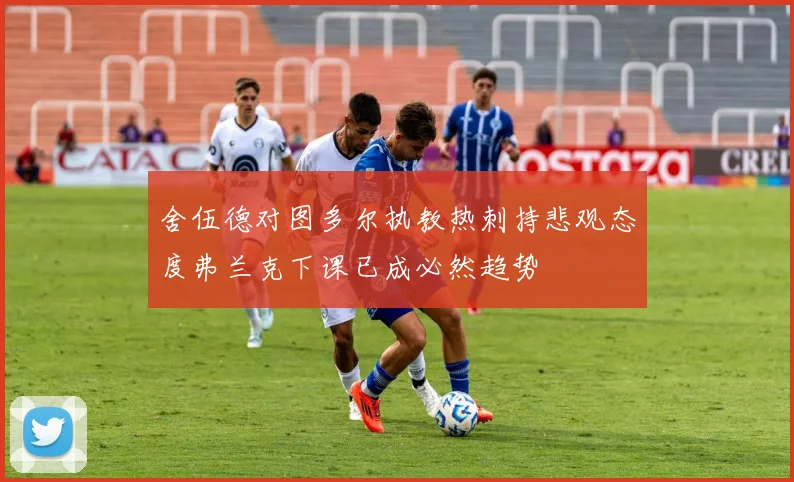 舍伍德对图多尔执教热刺持悲观态度弗兰克下课已成必然趋势